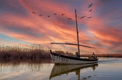 Canal cu stuf și apă liniștită în Delta Dunării, văzut într-o lumină caldă