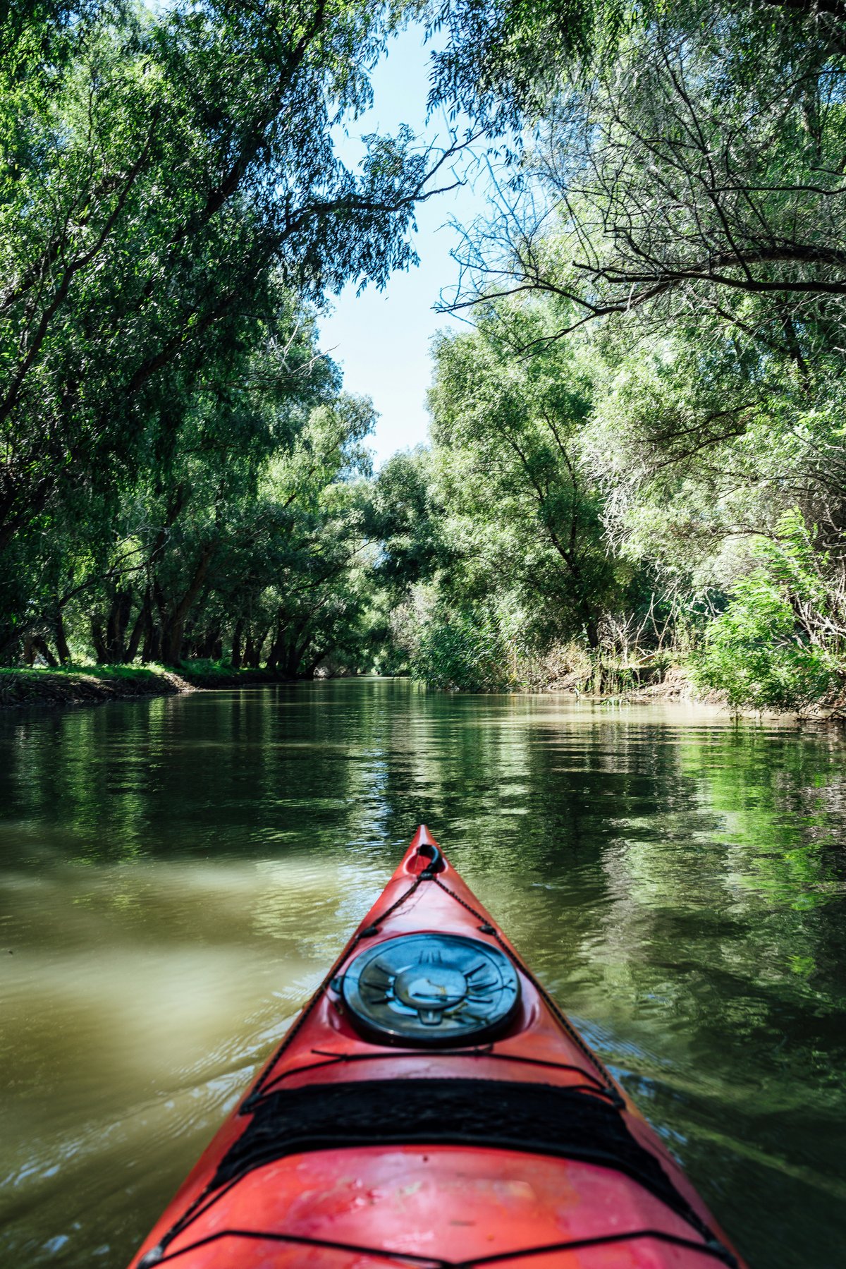 Kayak on still water beside reeds in the morning